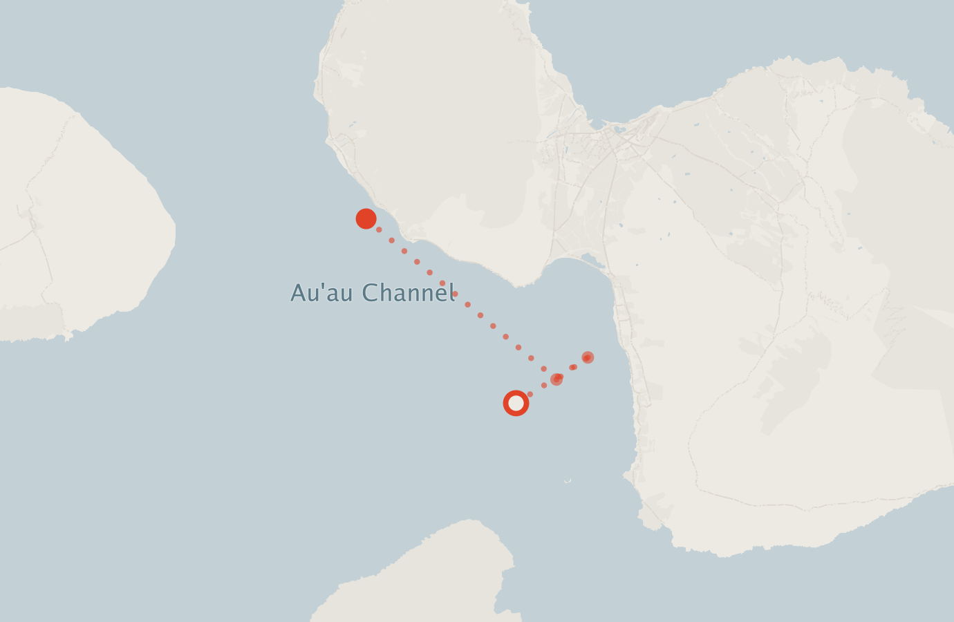 Activity map — real sighting points on an OpenStreetMap basemap