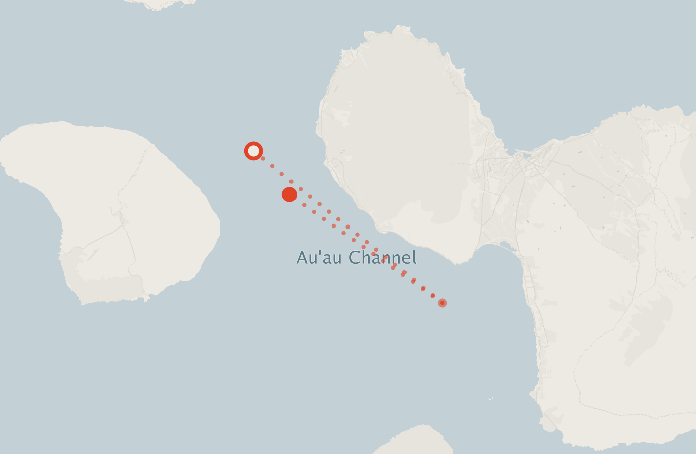 Activity map — real sighting points on an OpenStreetMap basemap