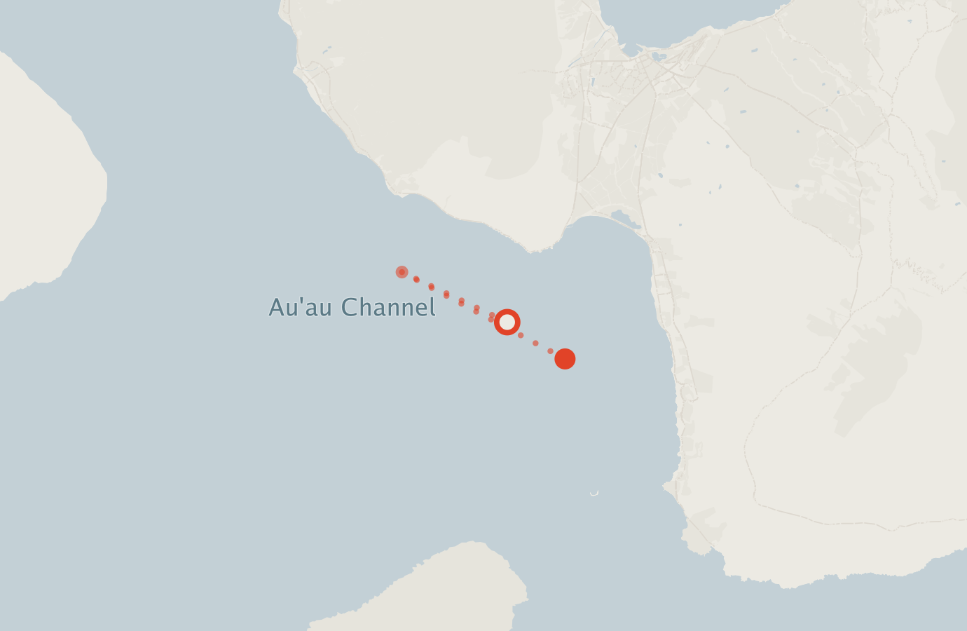 Activity map — real sighting points on an OpenStreetMap basemap
