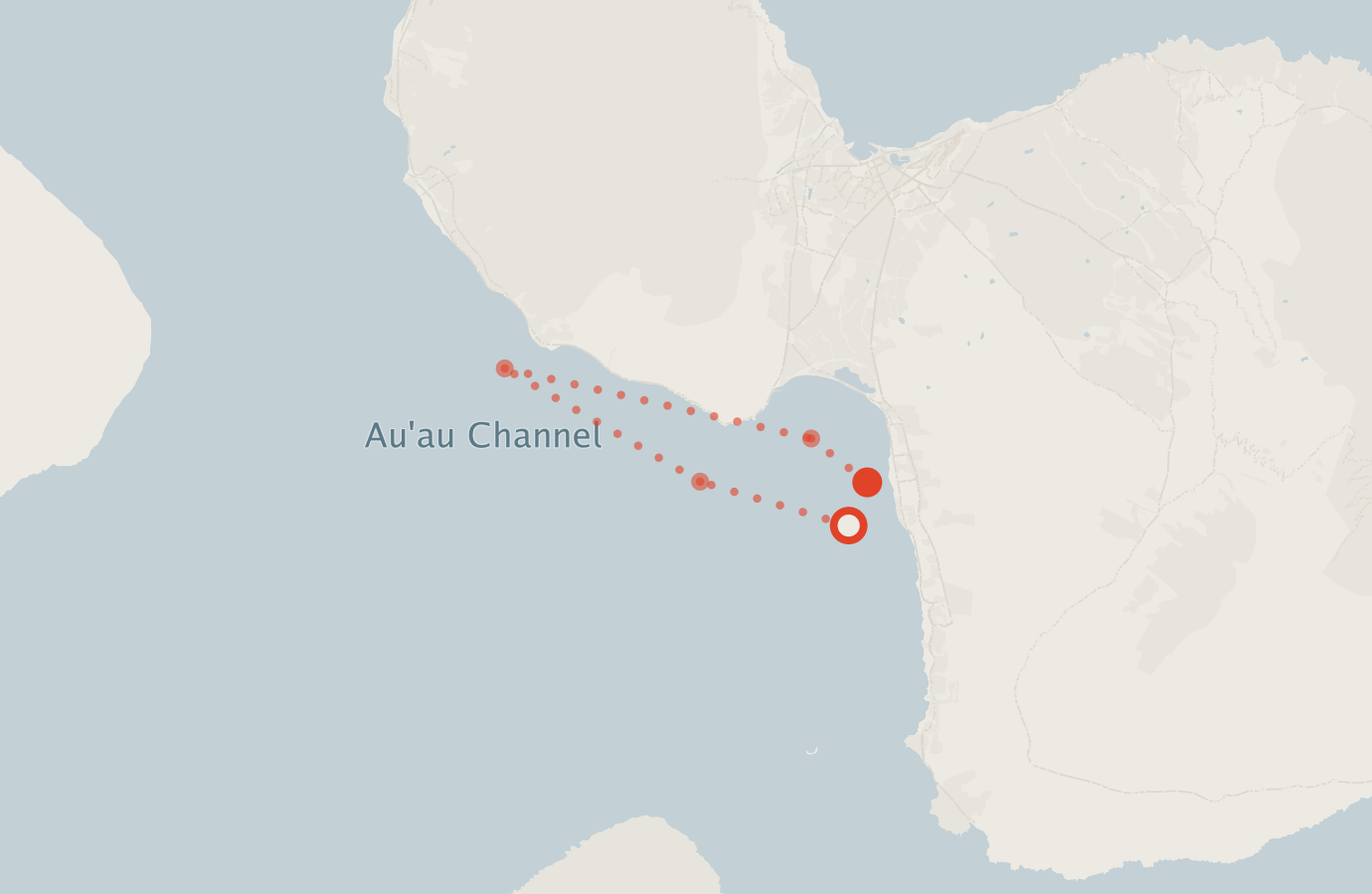 Activity map — real sighting points on an OpenStreetMap basemap