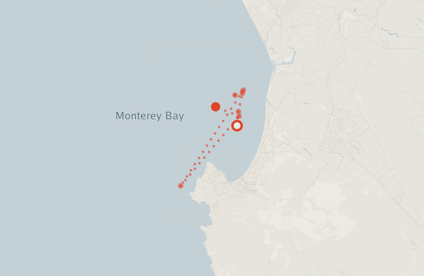Activity map — real sighting points on an OpenStreetMap basemap