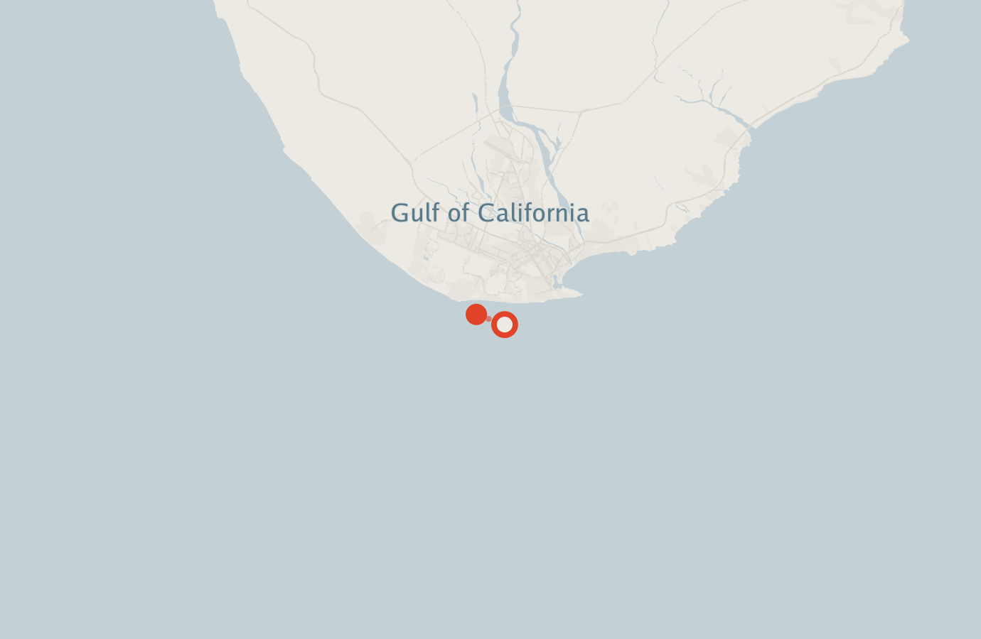 Activity map — real sighting points on an OpenStreetMap basemap