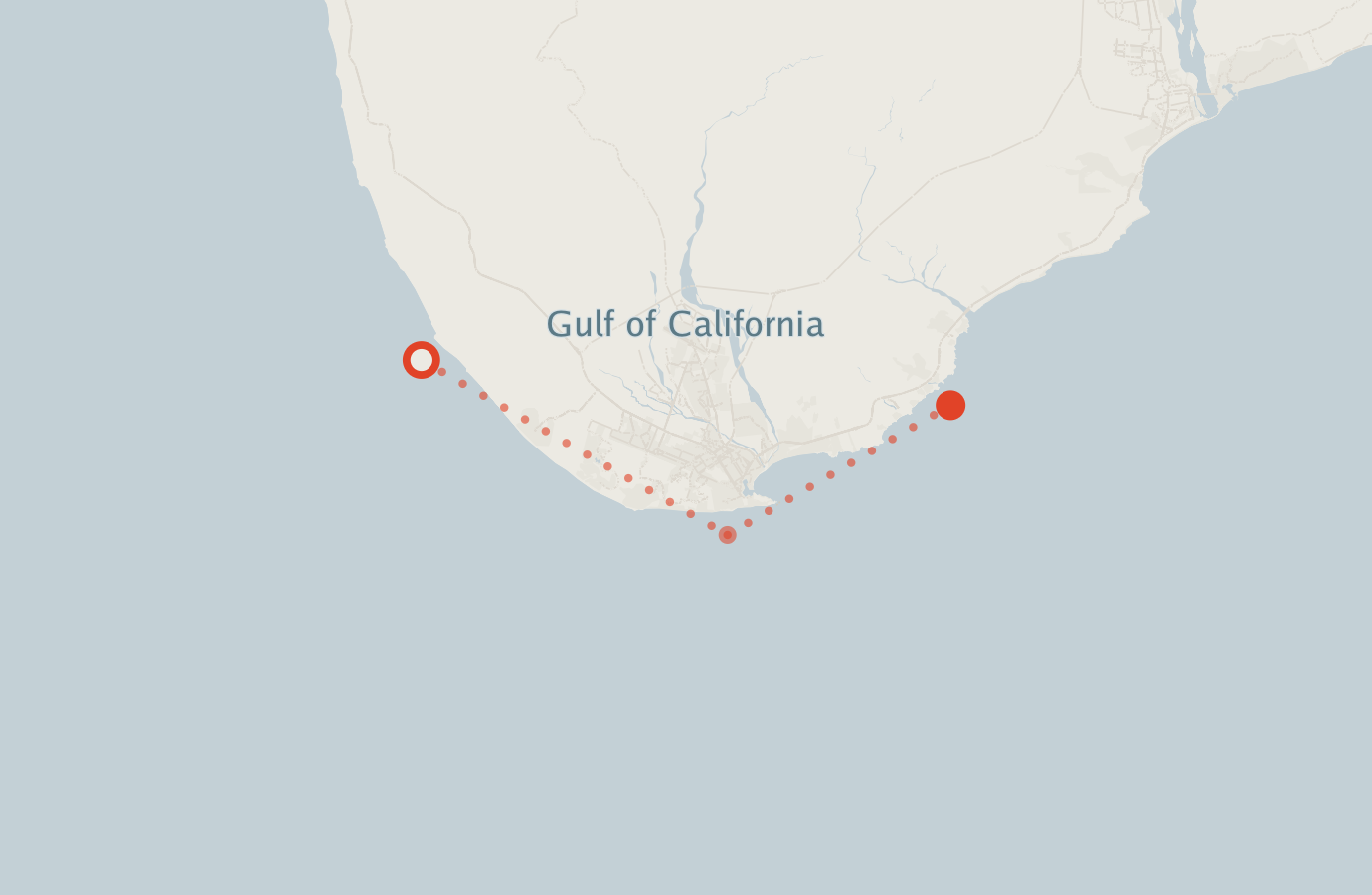 Activity map — real sighting points on an OpenStreetMap basemap