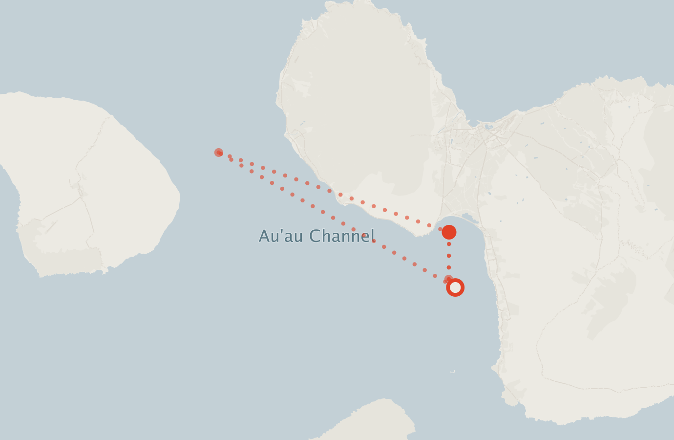 Activity map — real sighting points on an OpenStreetMap basemap