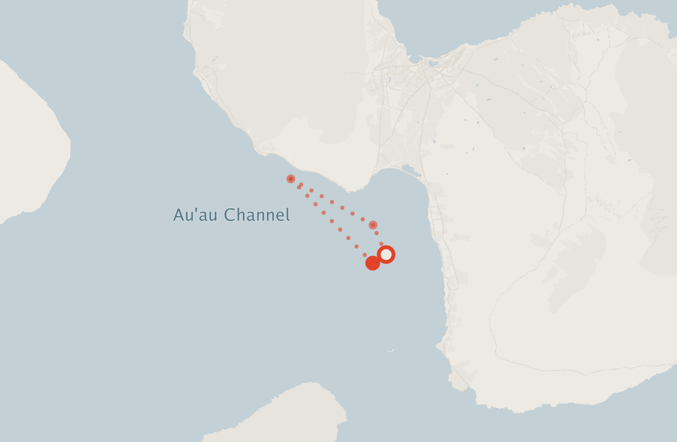 Activity map — real sighting points on an OpenStreetMap basemap