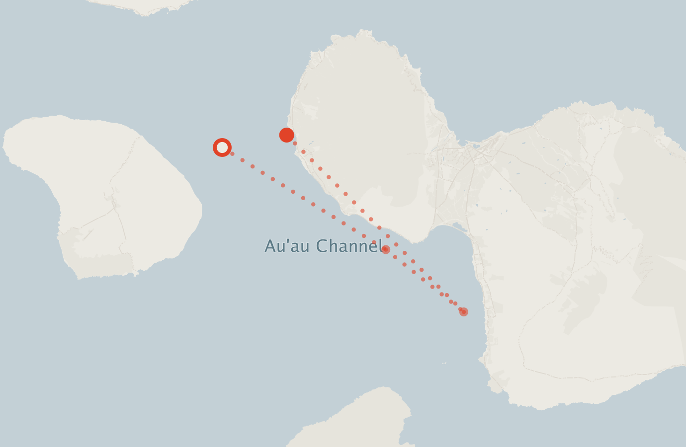 Activity map — real sighting points on an OpenStreetMap basemap