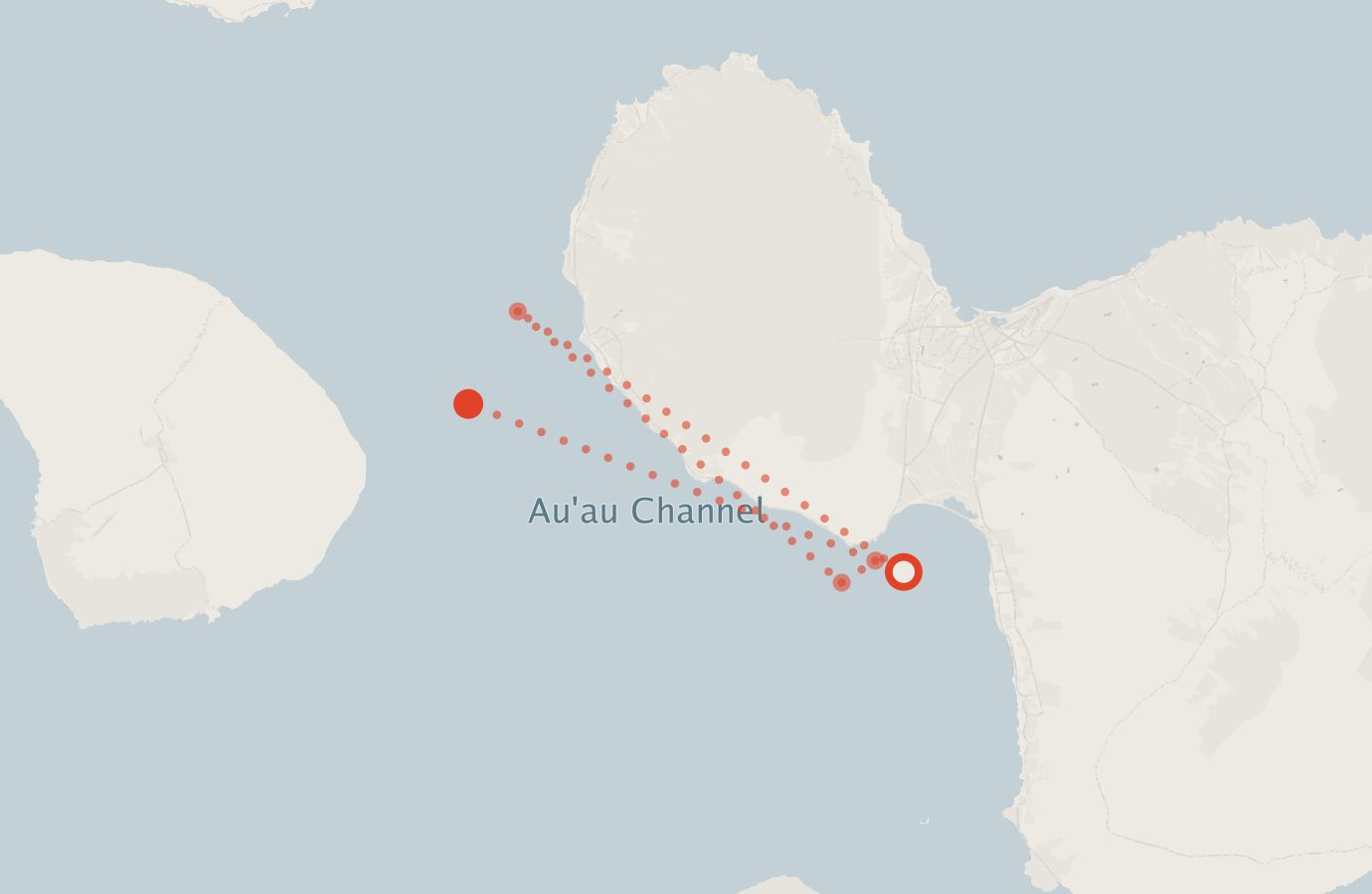 Activity map — real sighting points on an OpenStreetMap basemap