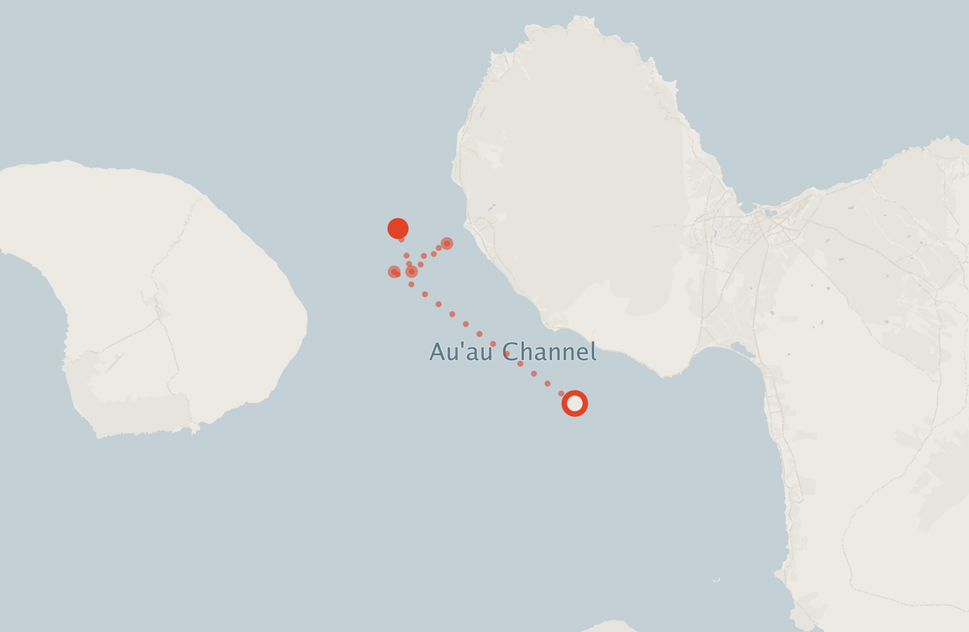 Activity map — real sighting points on an OpenStreetMap basemap