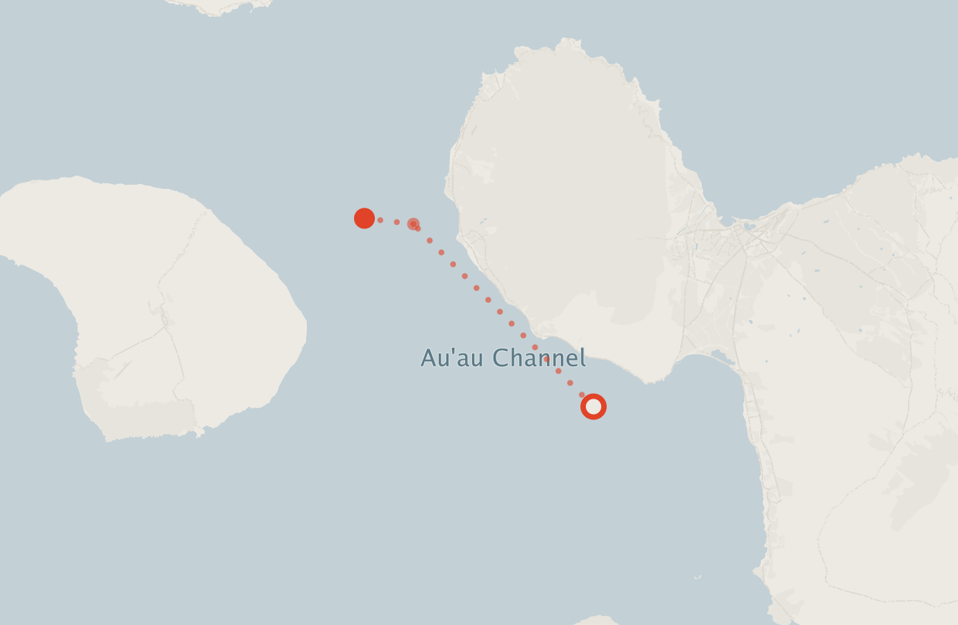 Activity map — real sighting points on an OpenStreetMap basemap