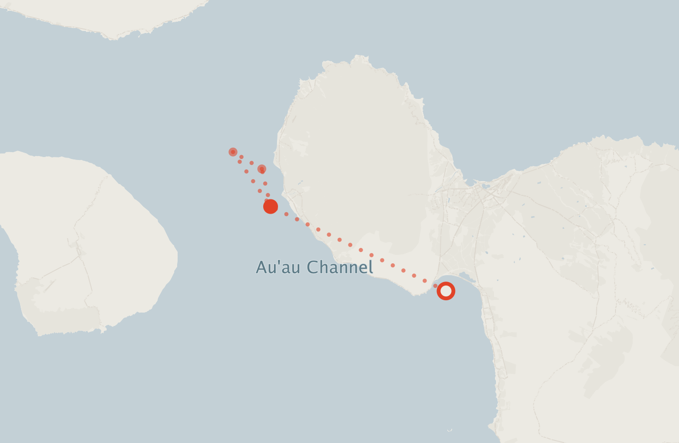 Activity map — real sighting points on an OpenStreetMap basemap