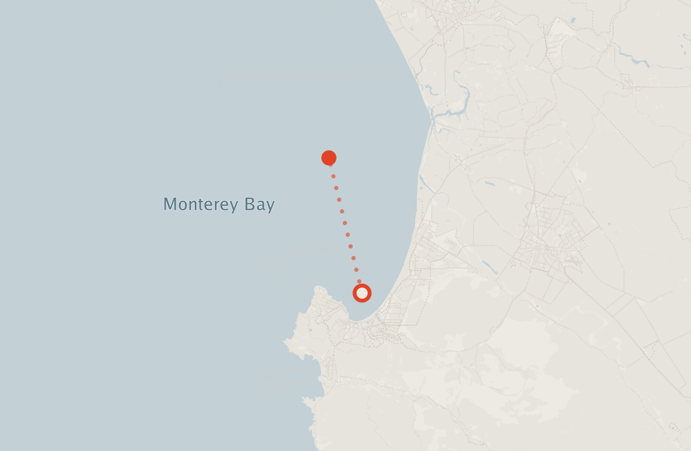 Activity map — real sighting points on an OpenStreetMap basemap