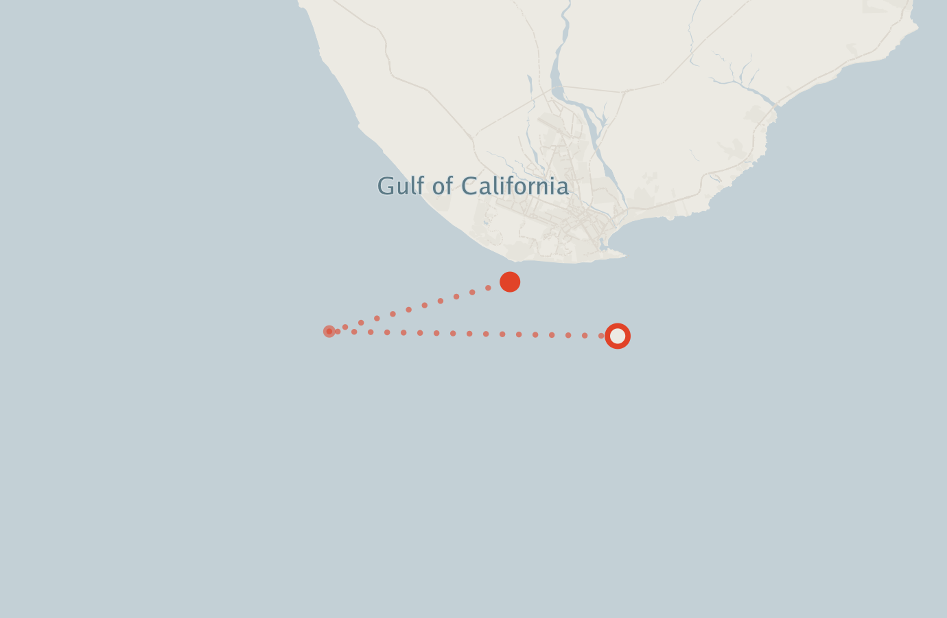 Activity map — real sighting points on an OpenStreetMap basemap