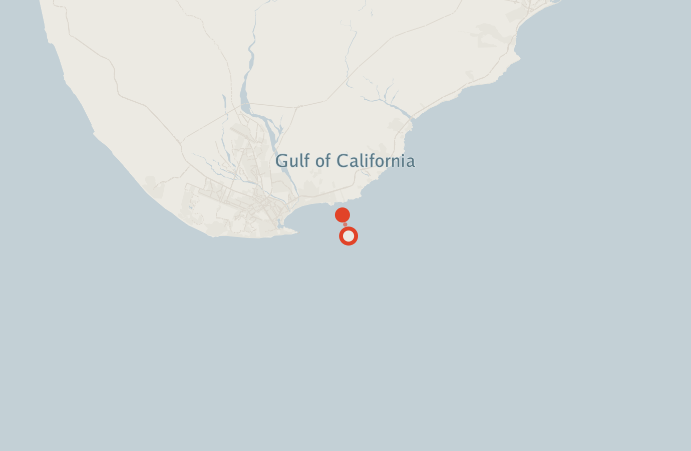 Activity map — real sighting points on an OpenStreetMap basemap