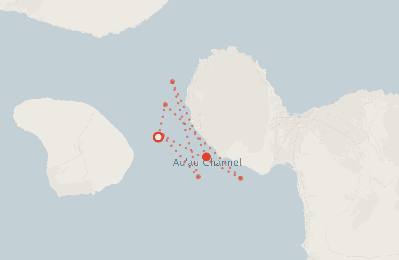 Activity map — real sighting points on an OpenStreetMap basemap