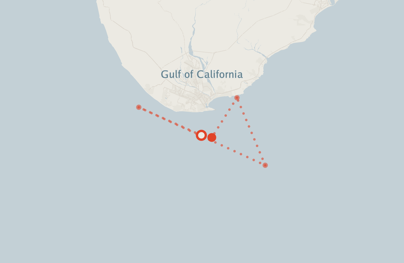 Activity map — real sighting points on an OpenStreetMap basemap