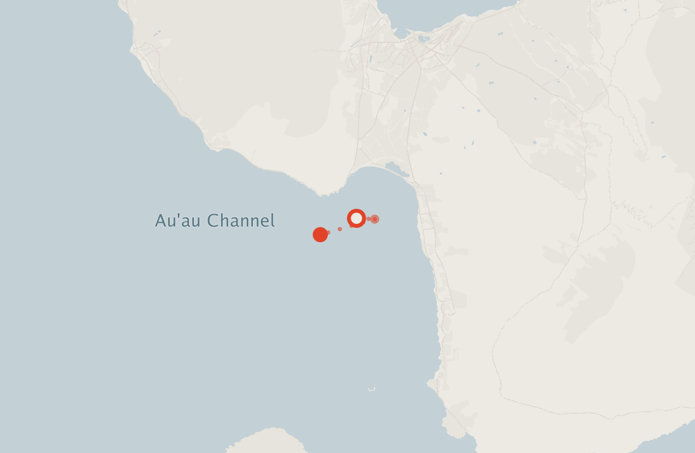 Activity map — real sighting points on an OpenStreetMap basemap