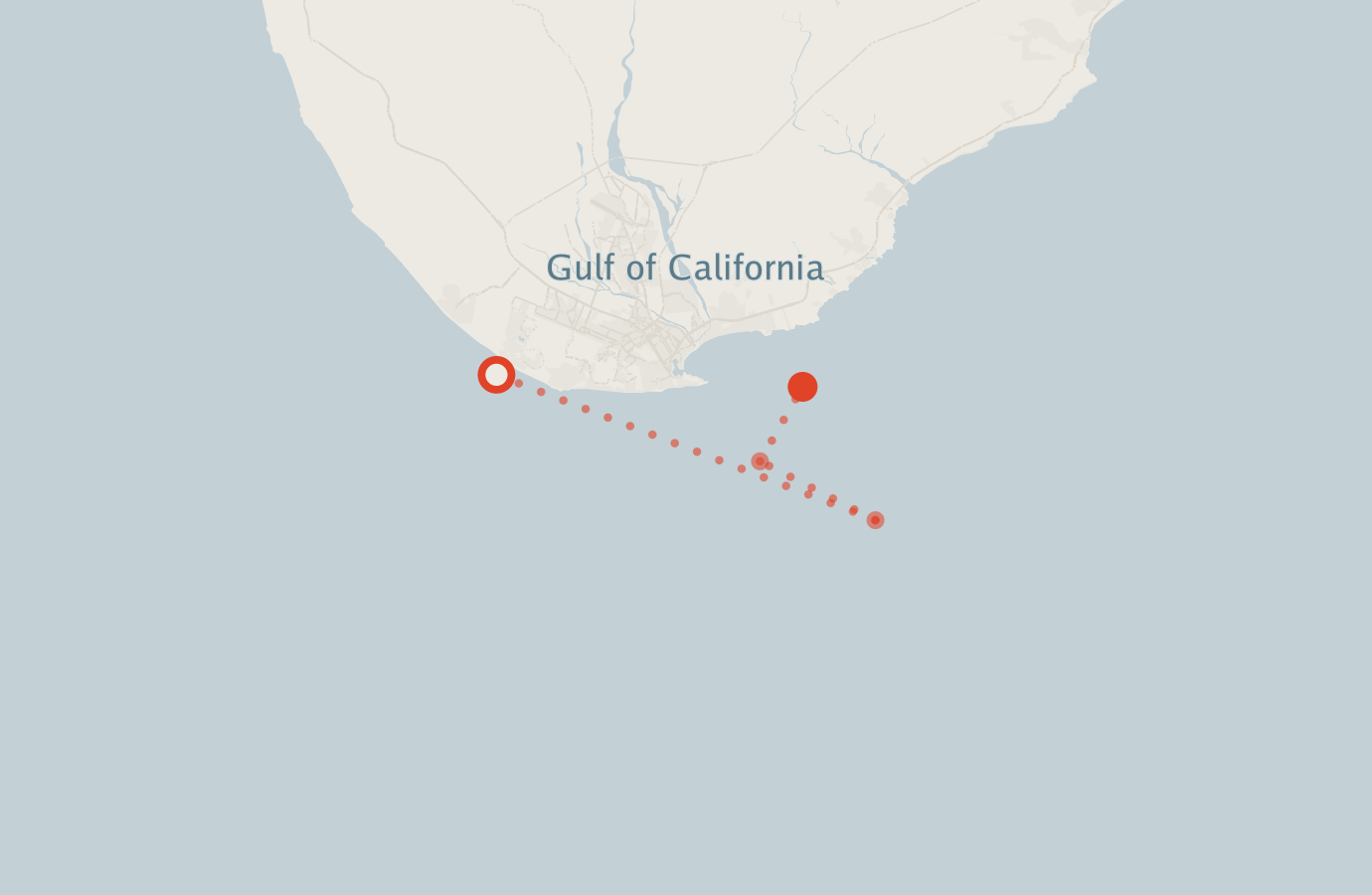 Activity map — real sighting points on an OpenStreetMap basemap