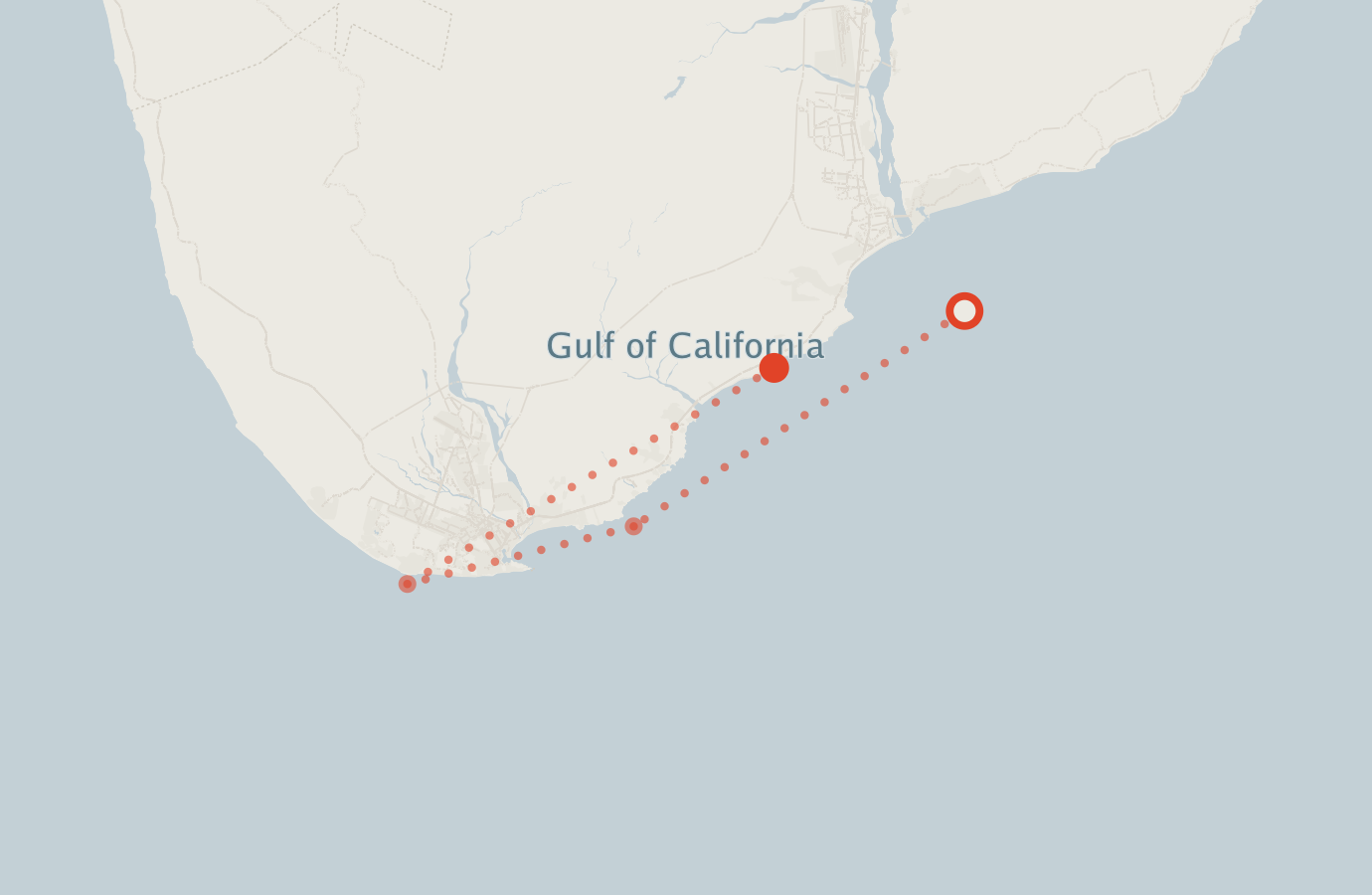 Activity map — real sighting points on an OpenStreetMap basemap