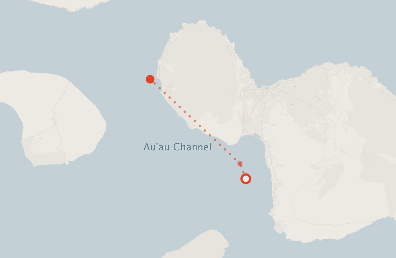Activity map — real sighting points on an OpenStreetMap basemap
