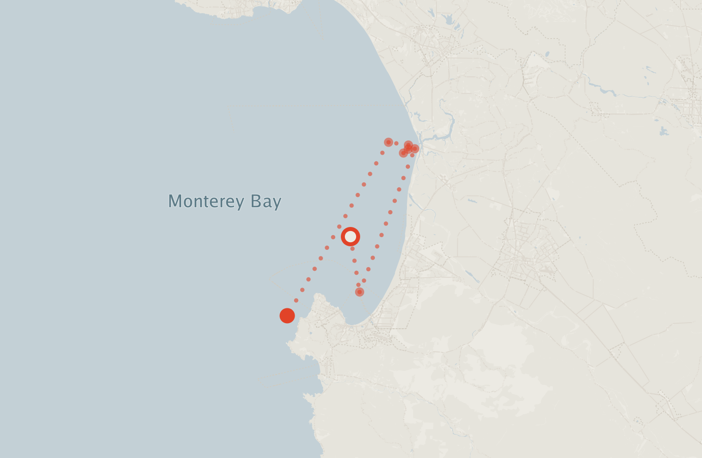 Activity map — real sighting points on an OpenStreetMap basemap