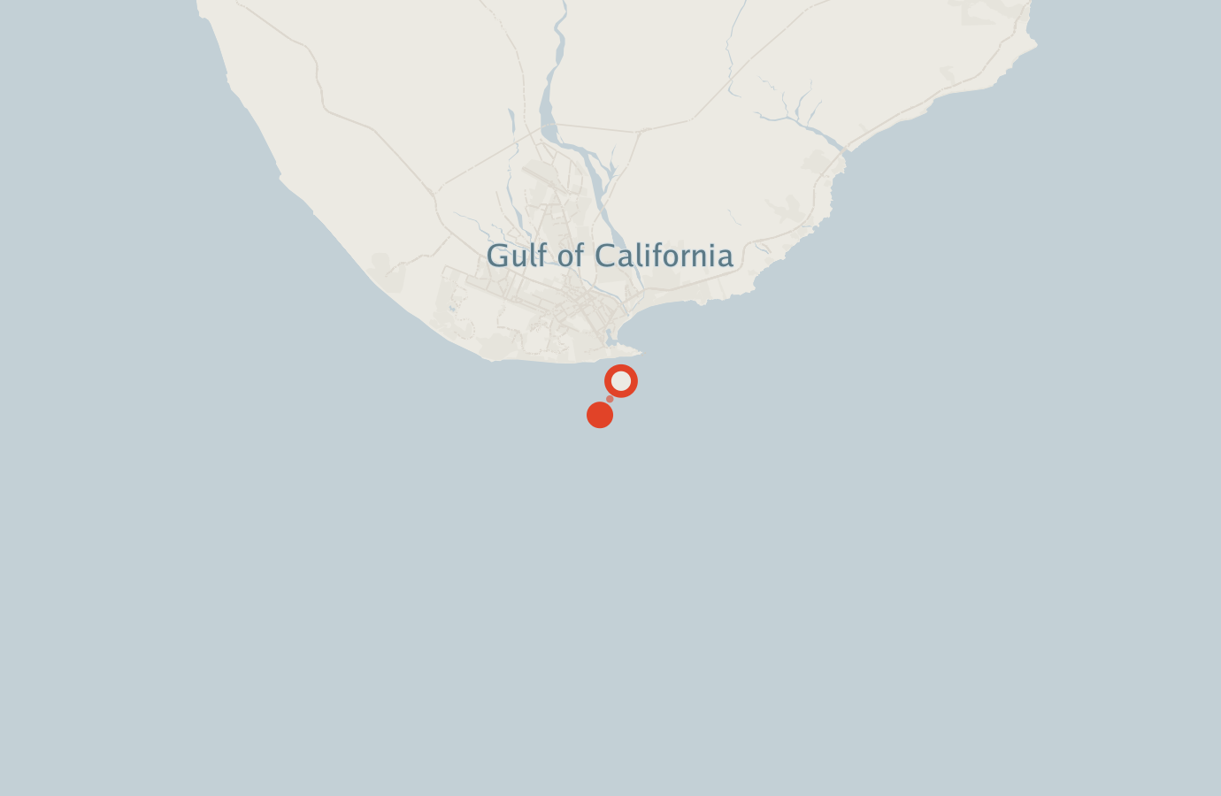 Activity map — real sighting points on an OpenStreetMap basemap