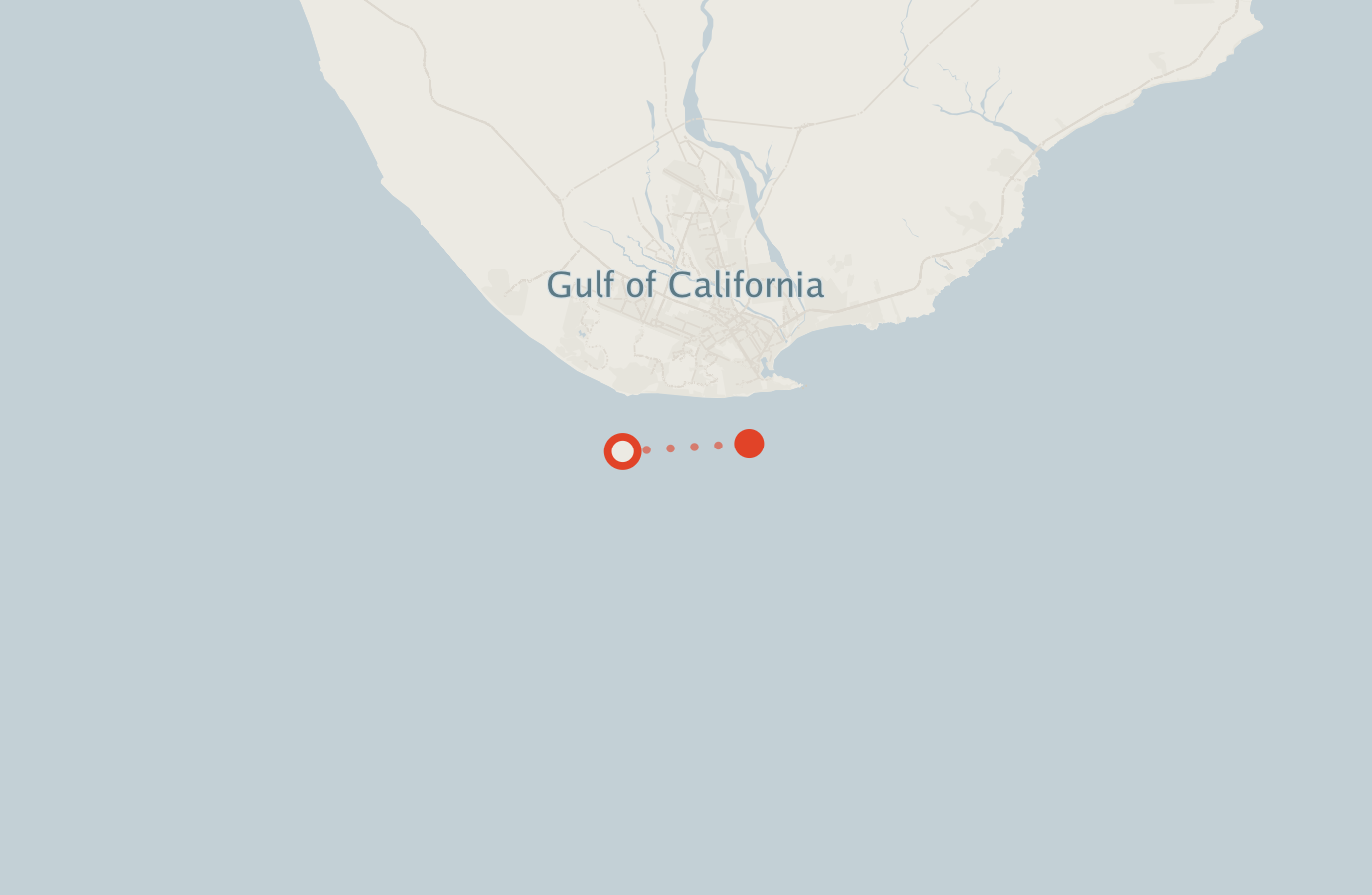 Activity map — real sighting points on an OpenStreetMap basemap