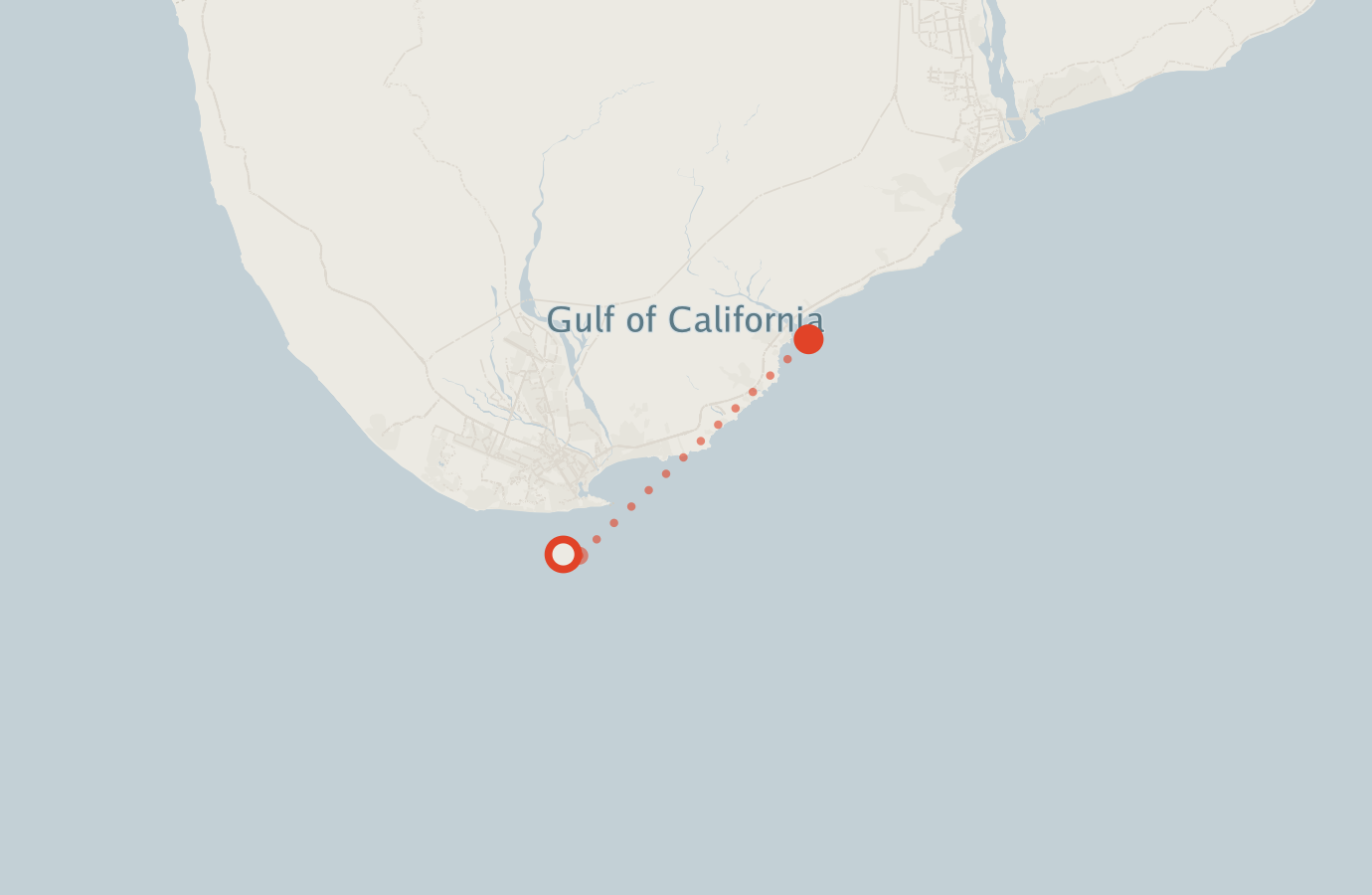 Activity map — real sighting points on an OpenStreetMap basemap