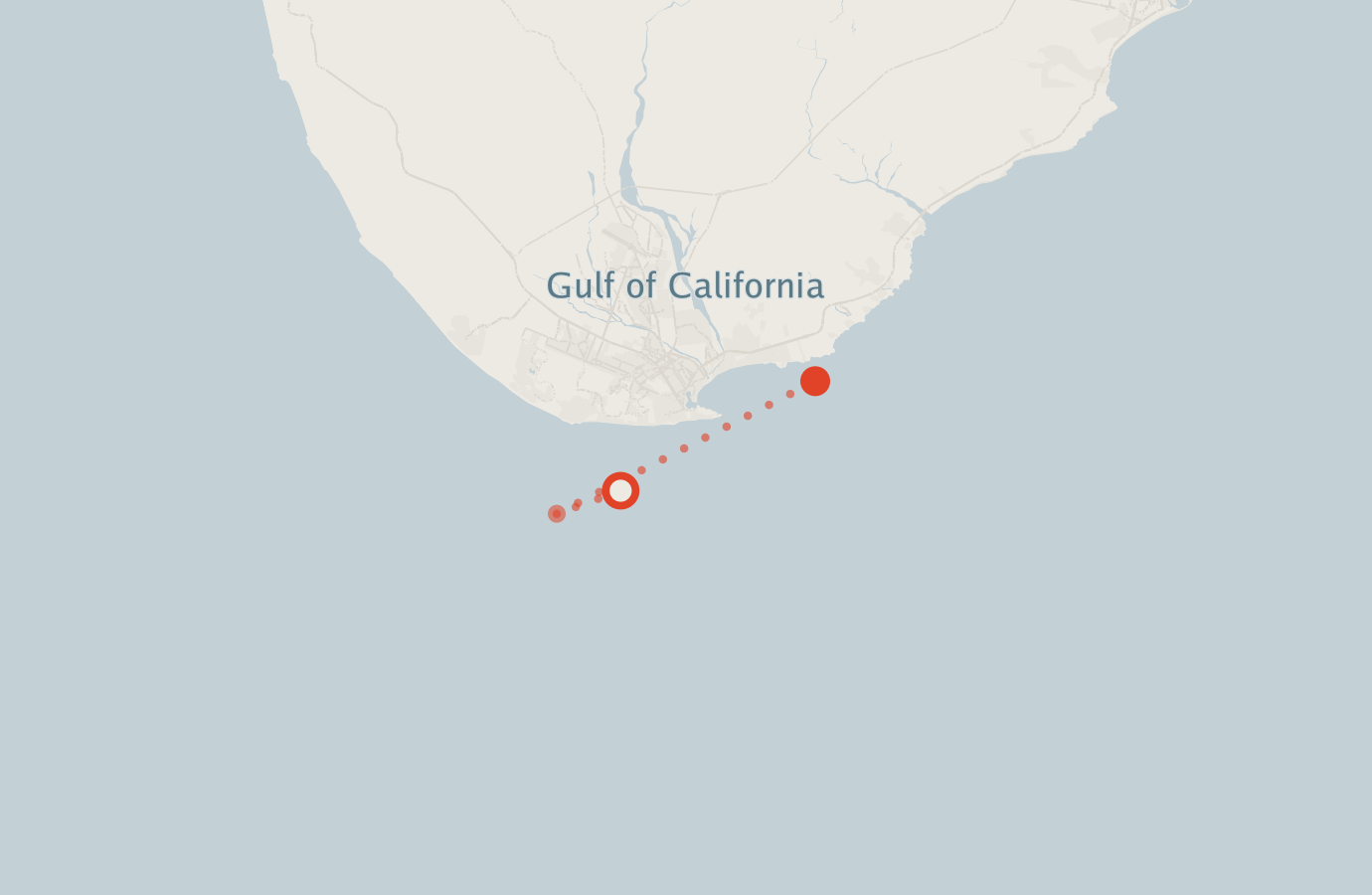 Activity map — real sighting points on an OpenStreetMap basemap