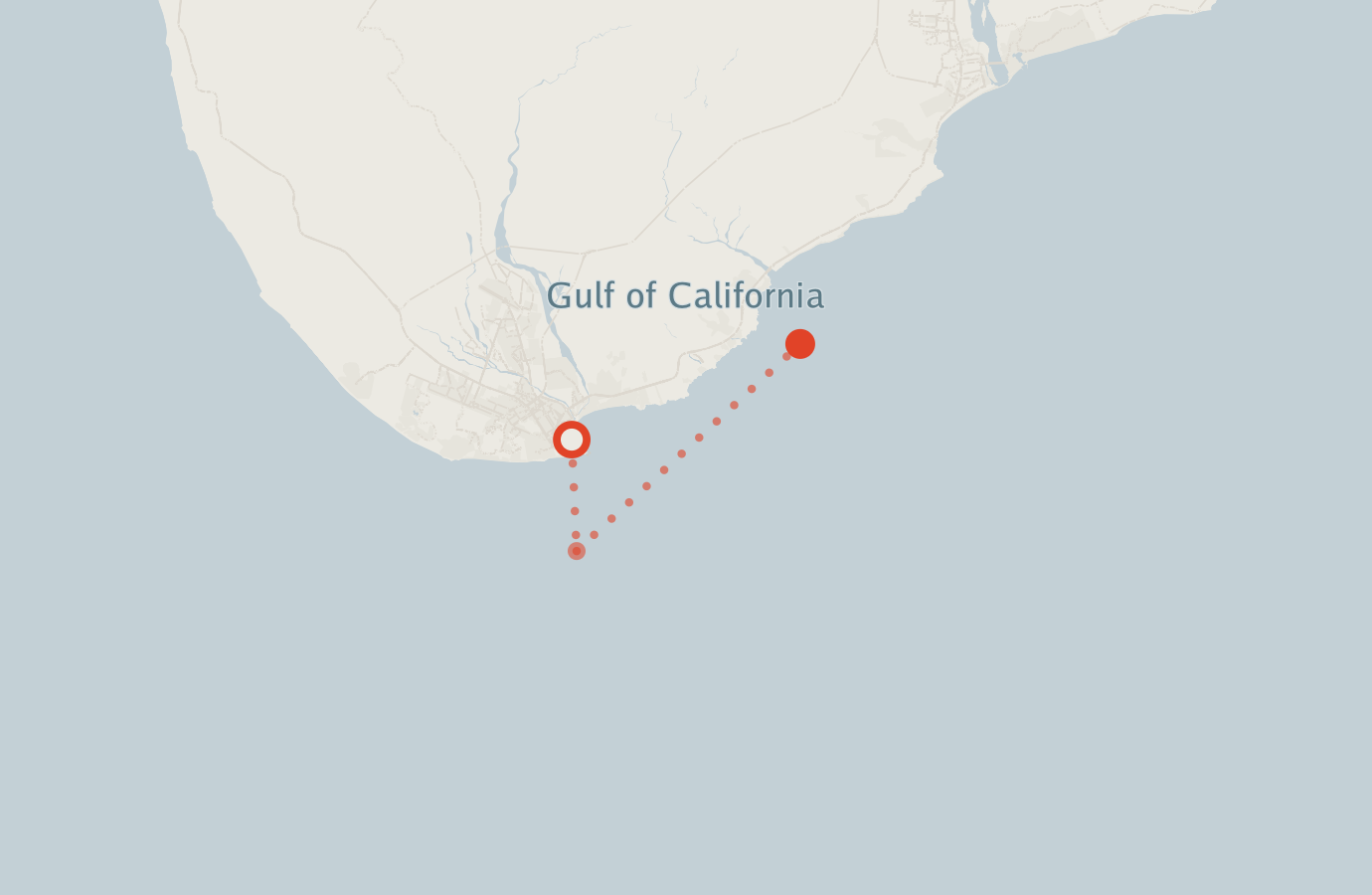 Activity map — real sighting points on an OpenStreetMap basemap