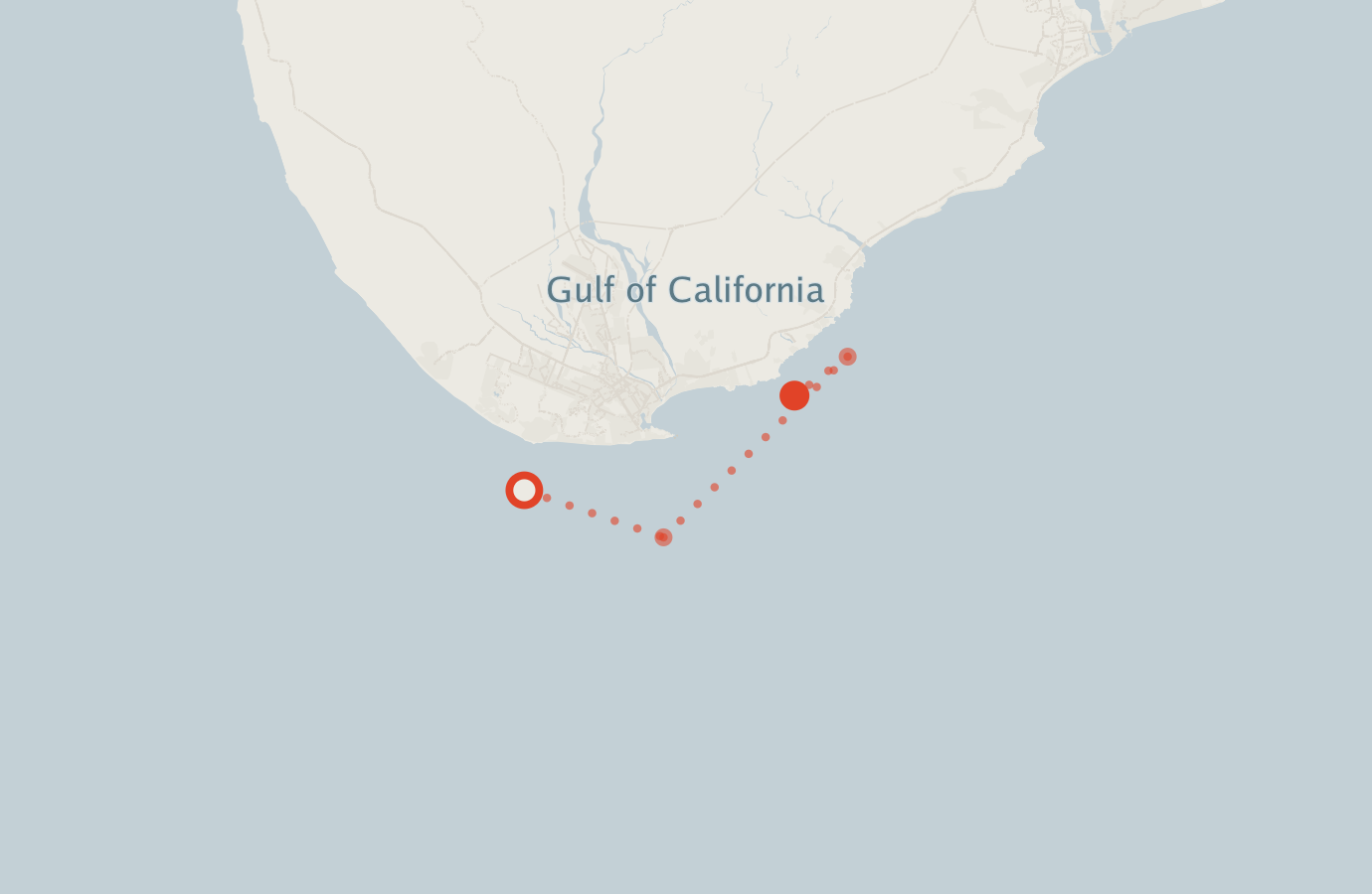 Activity map — real sighting points on an OpenStreetMap basemap