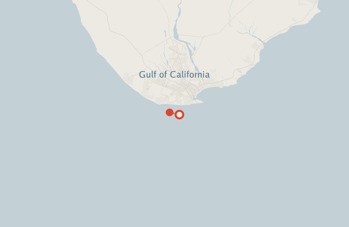 Activity map — real sighting points on an OpenStreetMap basemap