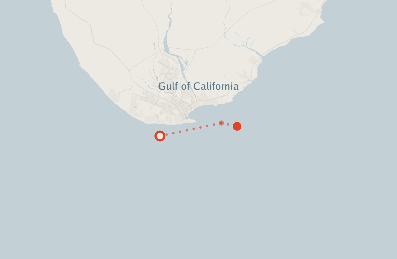 Activity map — real sighting points on an OpenStreetMap basemap