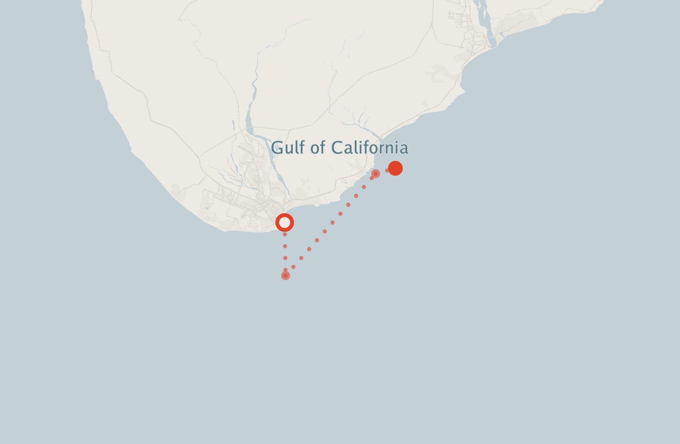 Activity map — real sighting points on an OpenStreetMap basemap