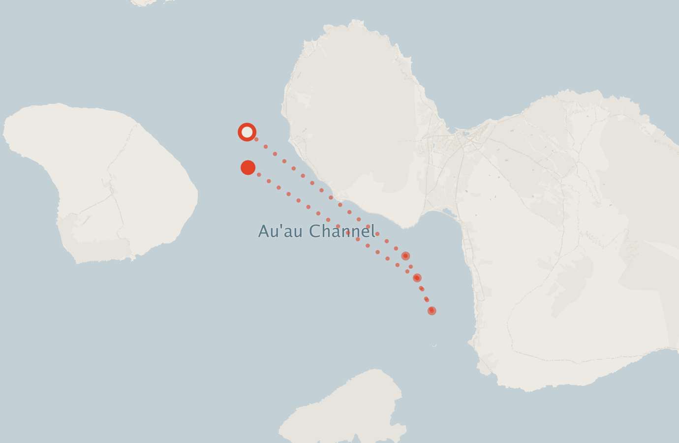 Activity map — real sighting points on an OpenStreetMap basemap