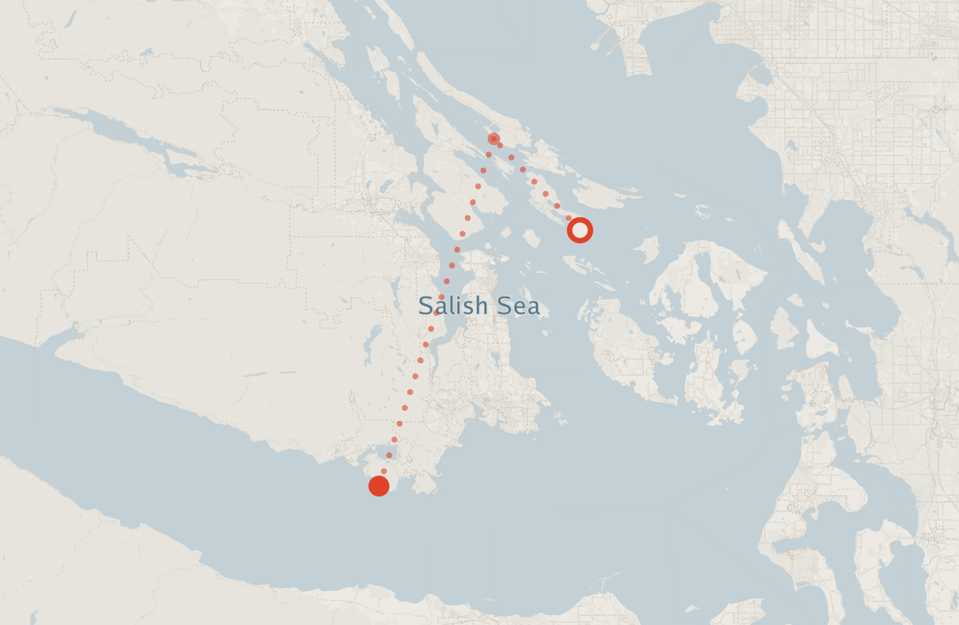 Activity map — real sighting points on an OpenStreetMap basemap
