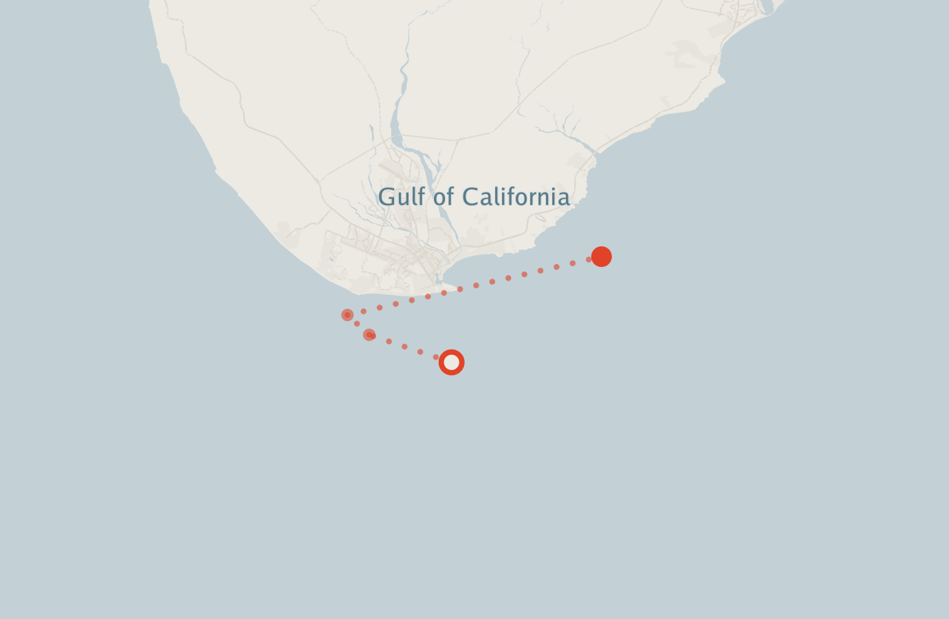 Activity map — real sighting points on an OpenStreetMap basemap