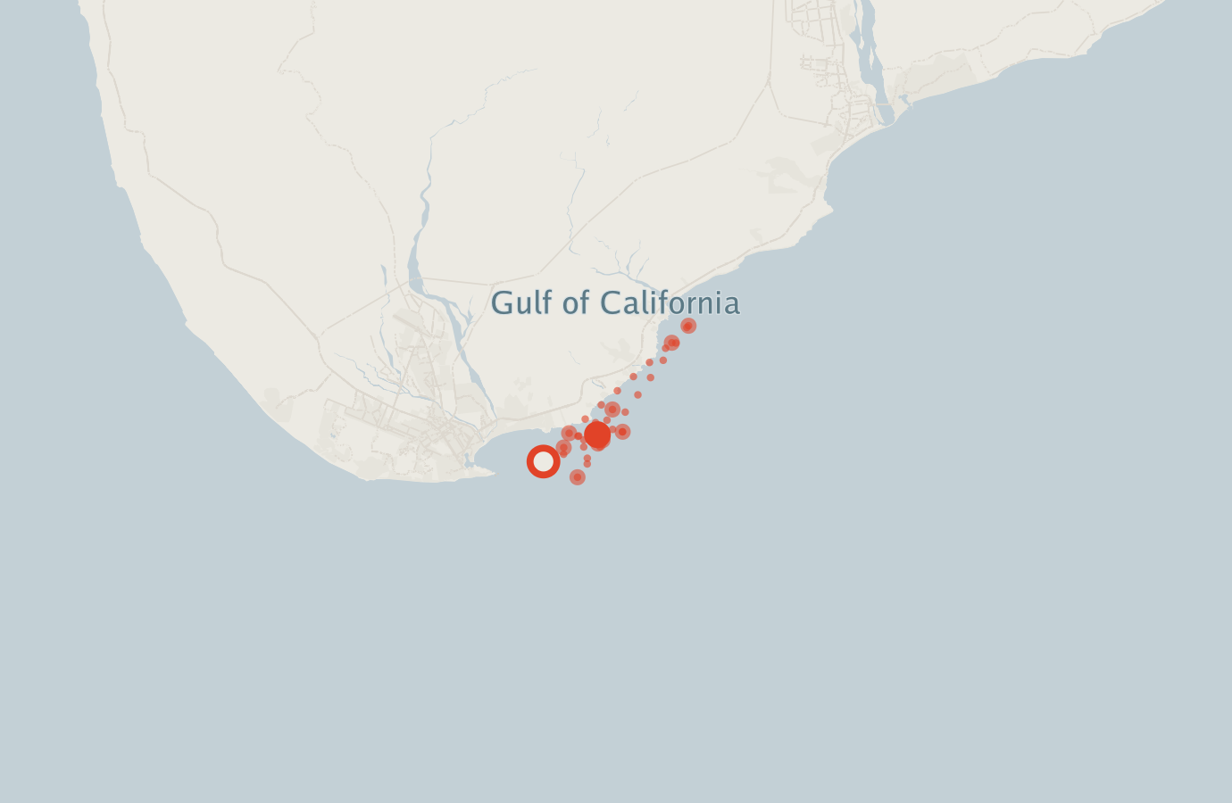Activity map — real sighting points on an OpenStreetMap basemap