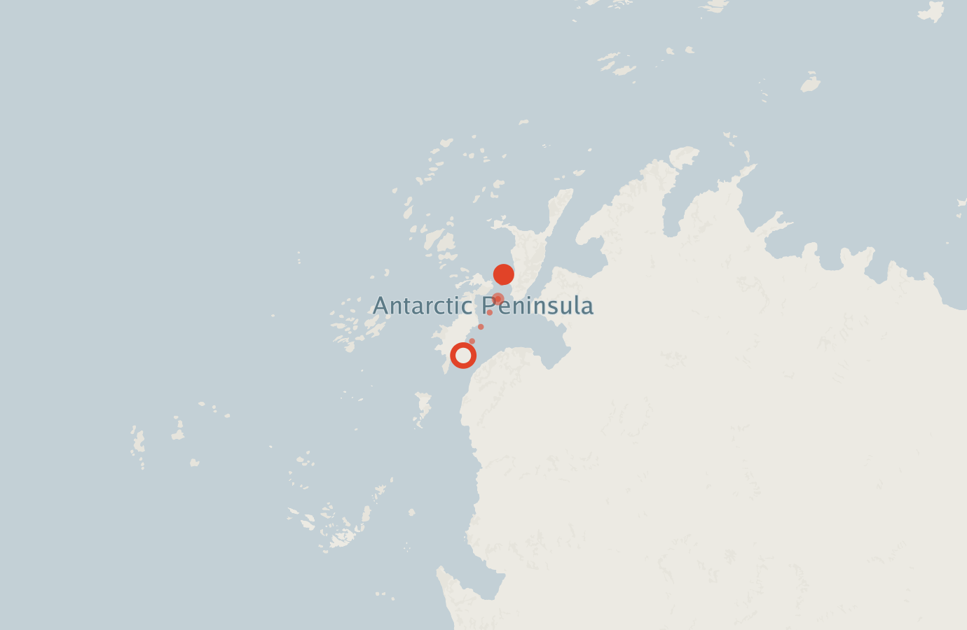 Activity map — real sighting points on an OpenStreetMap basemap