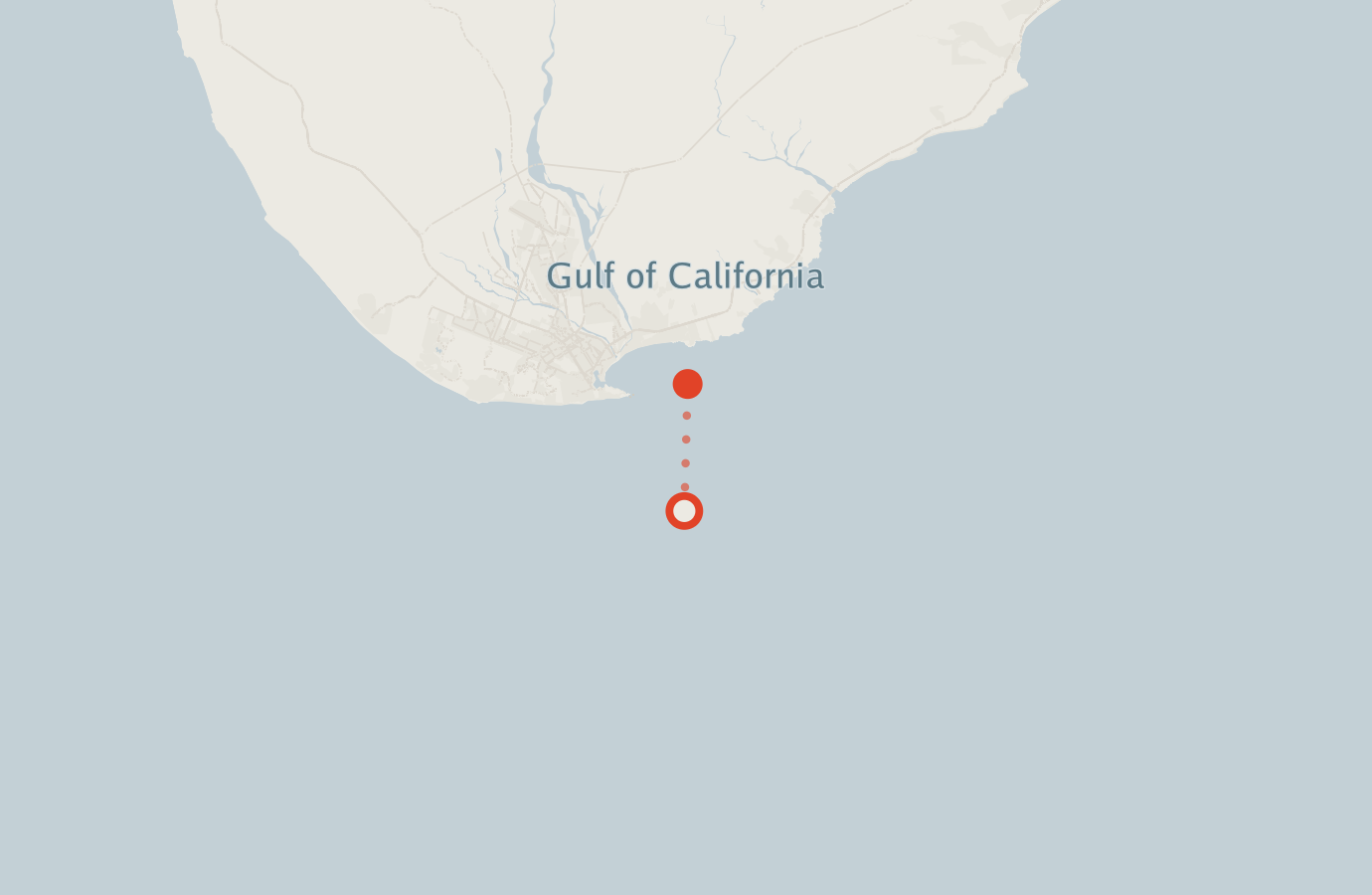 Activity map — real sighting points on an OpenStreetMap basemap
