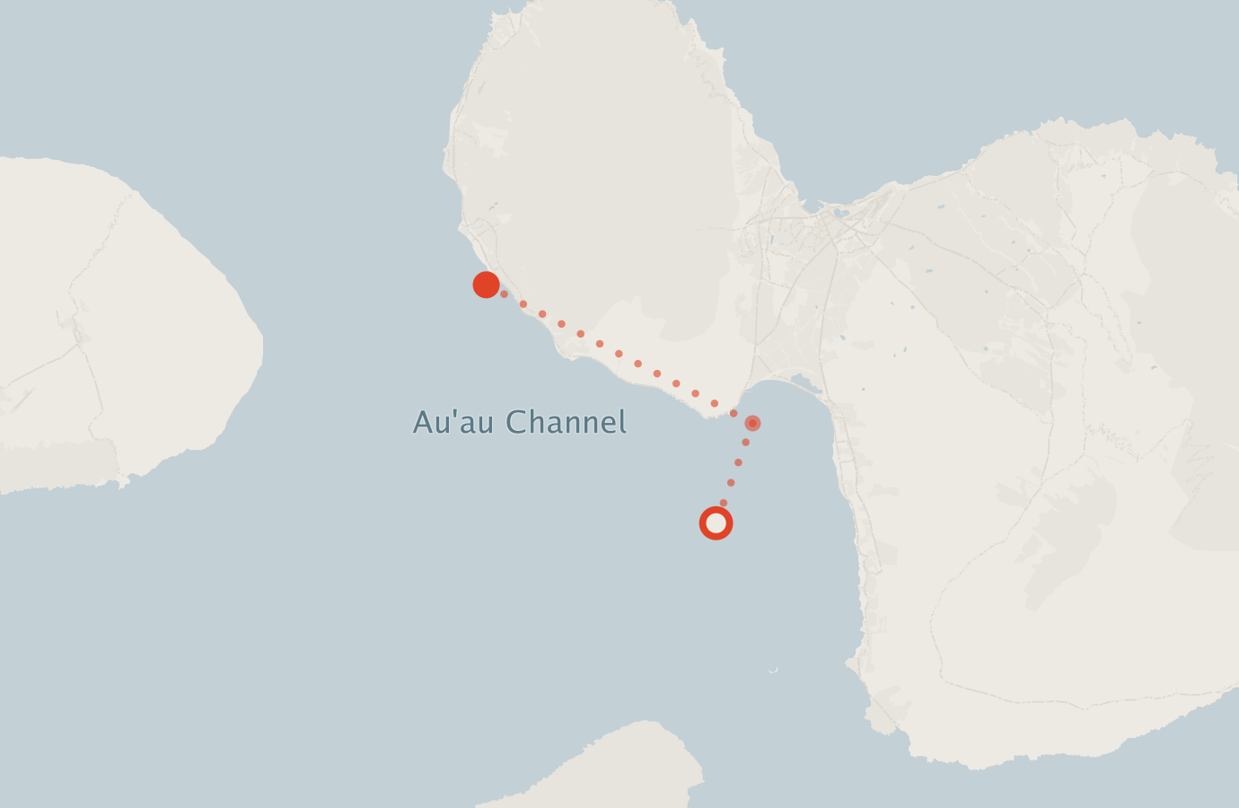 Activity map — real sighting points on an OpenStreetMap basemap