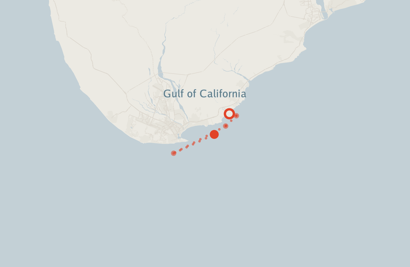 Activity map — real sighting points on an OpenStreetMap basemap