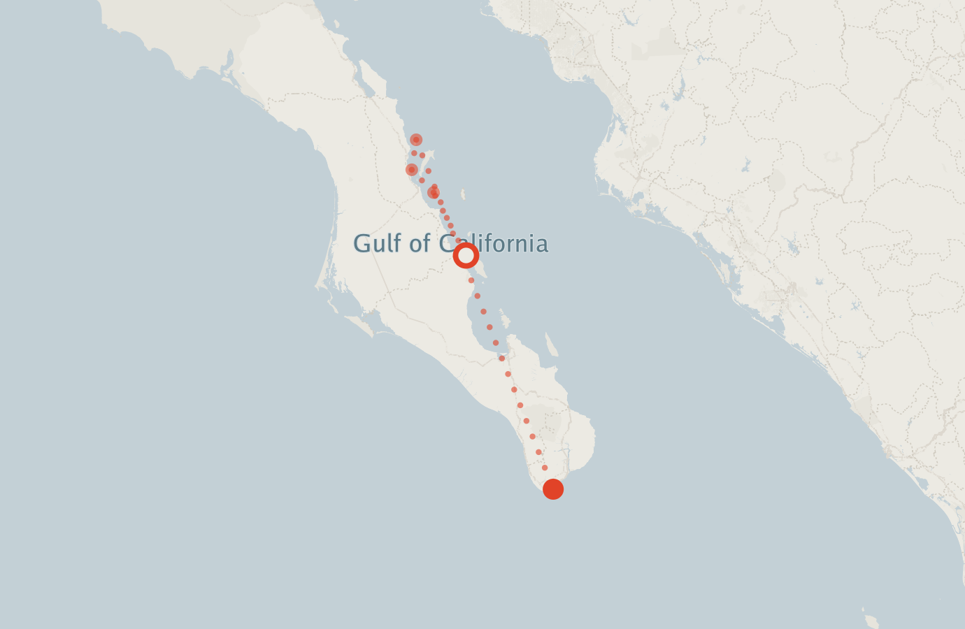Activity map — real sighting points on an OpenStreetMap basemap
