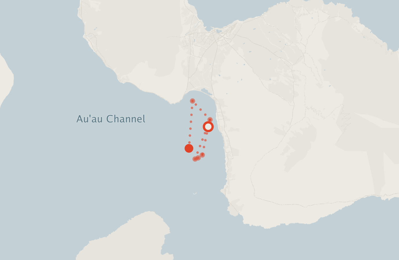 Activity map — real sighting points on an OpenStreetMap basemap
