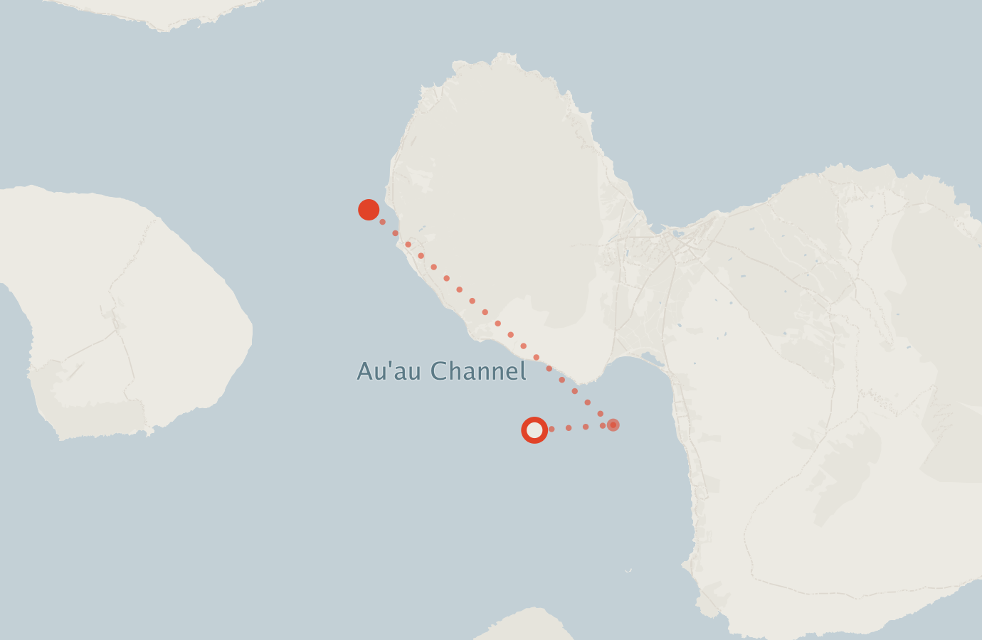 Activity map — real sighting points on an OpenStreetMap basemap