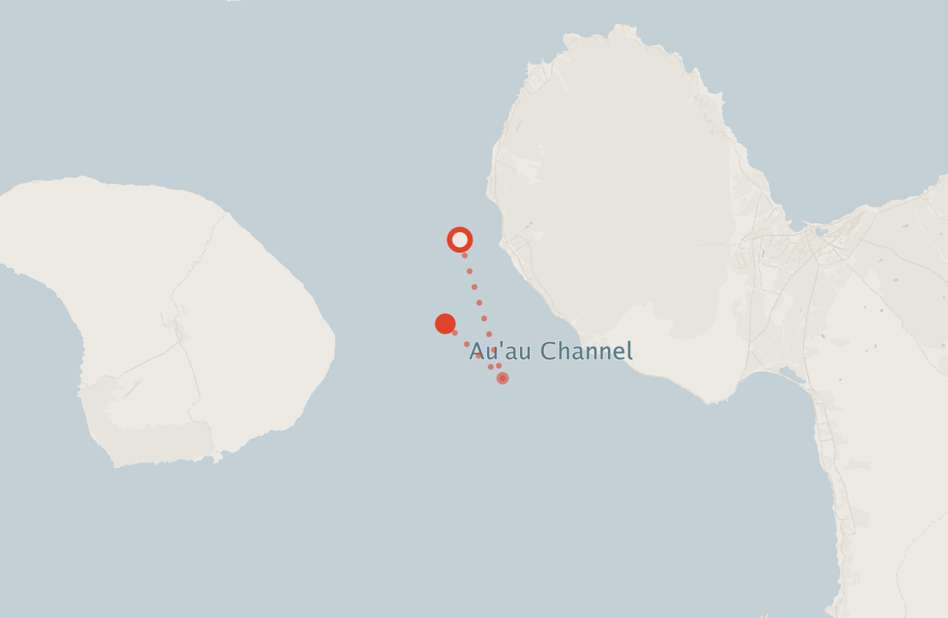 Activity map — real sighting points on an OpenStreetMap basemap