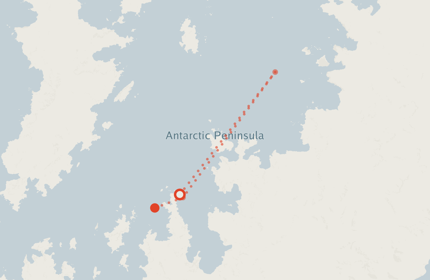 Activity map — real sighting points on an OpenStreetMap basemap
