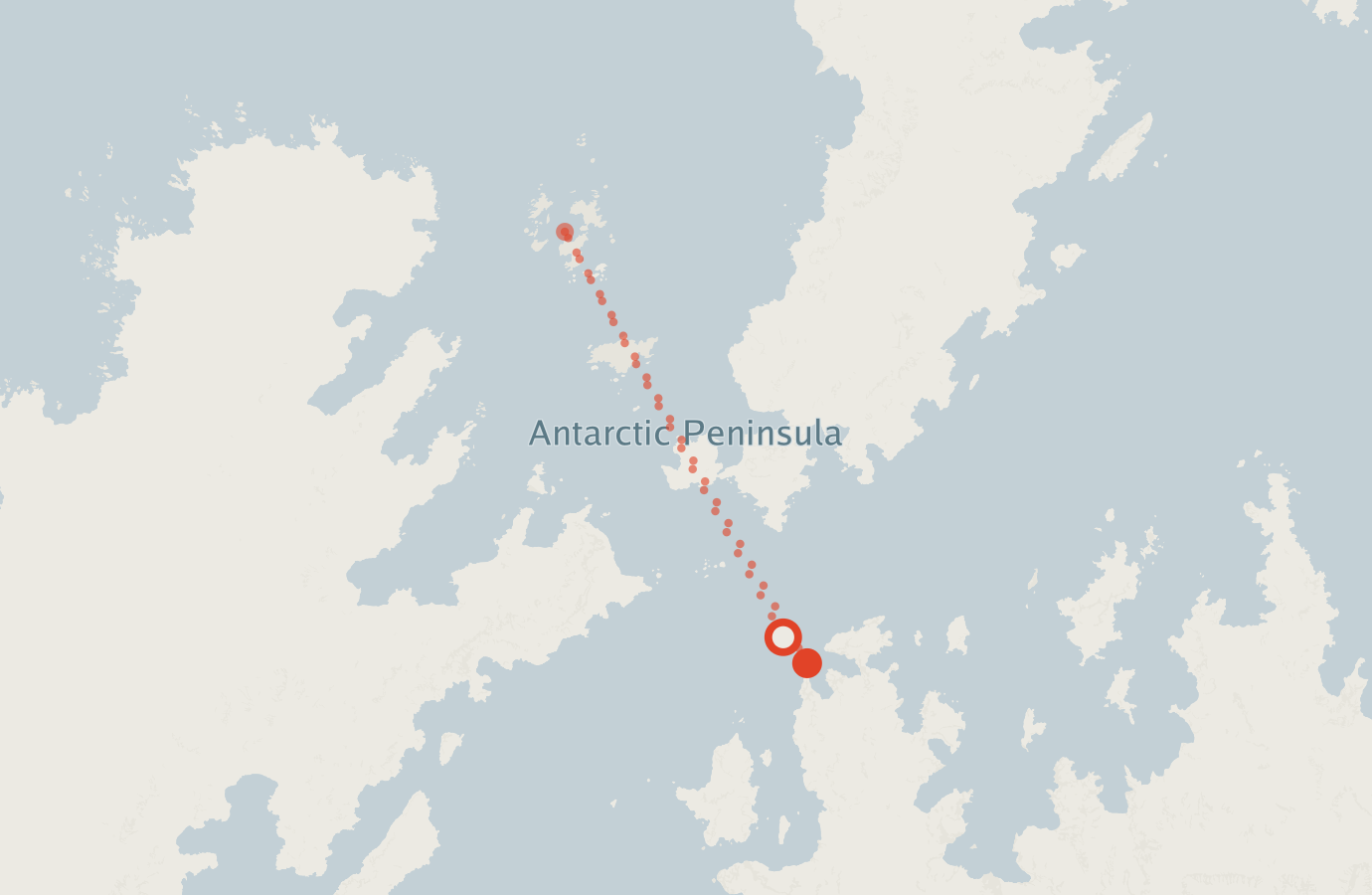 Activity map — real sighting points on an OpenStreetMap basemap