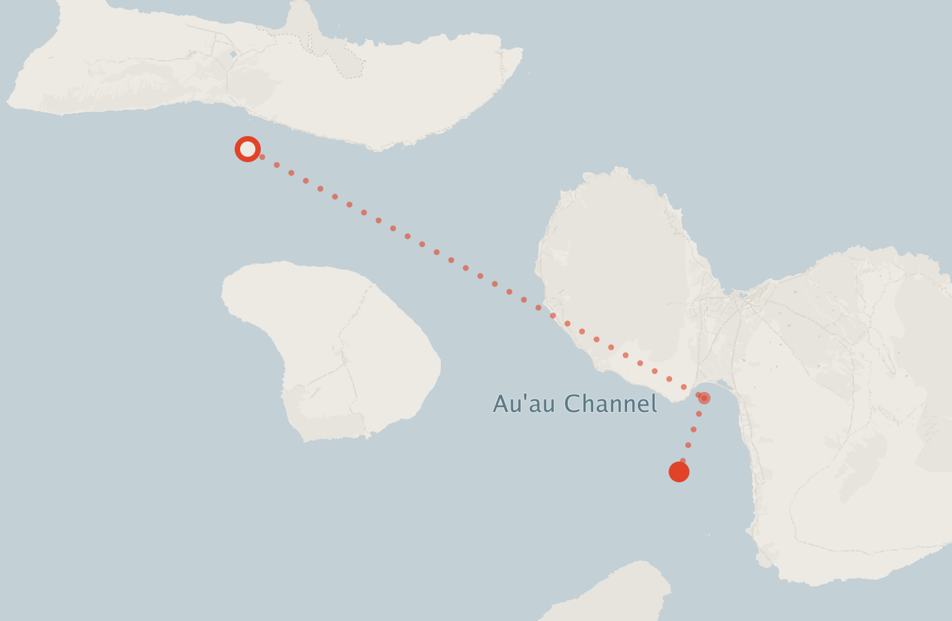 Activity map — real sighting points on an OpenStreetMap basemap