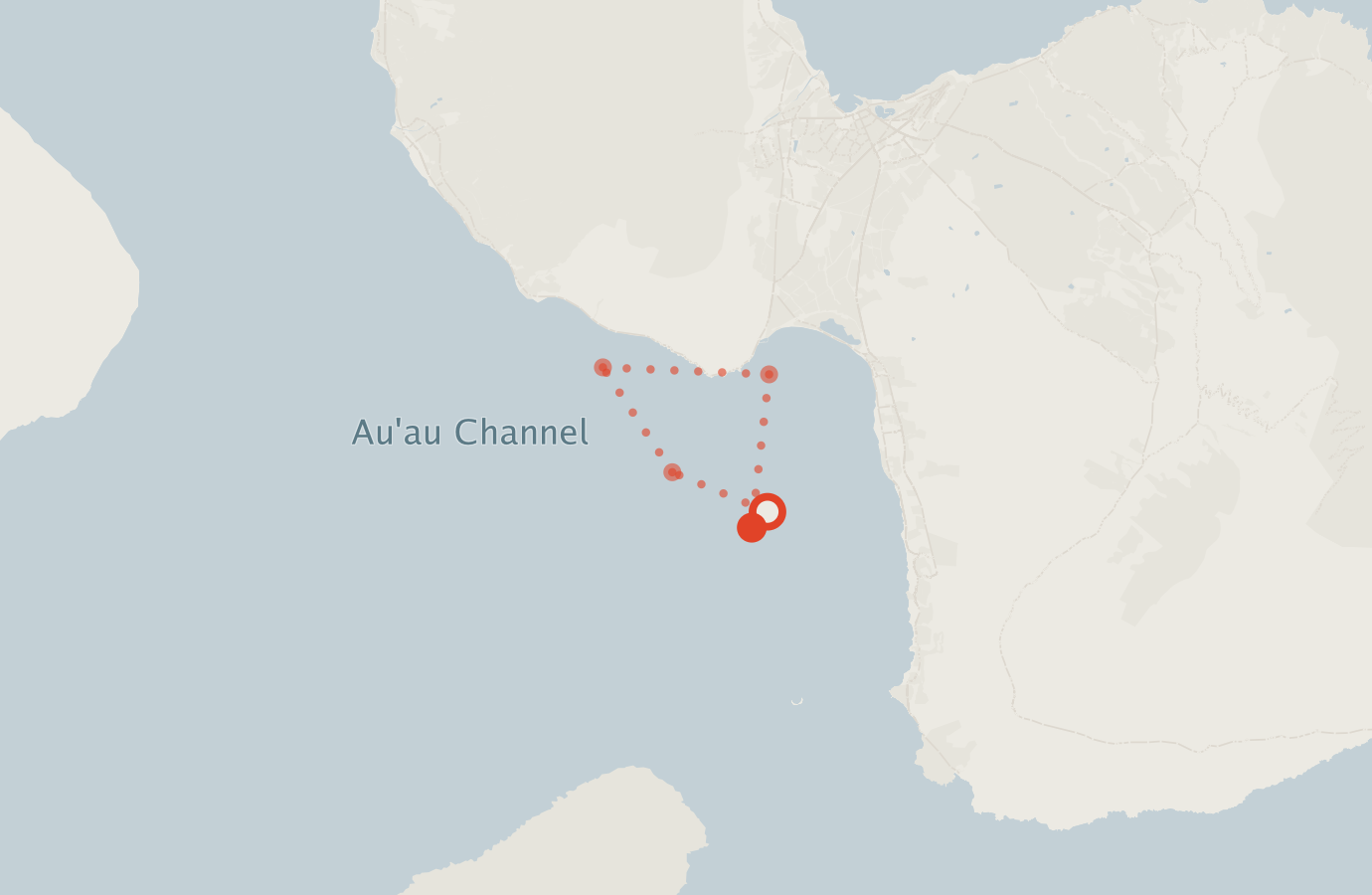 Activity map — real sighting points on an OpenStreetMap basemap