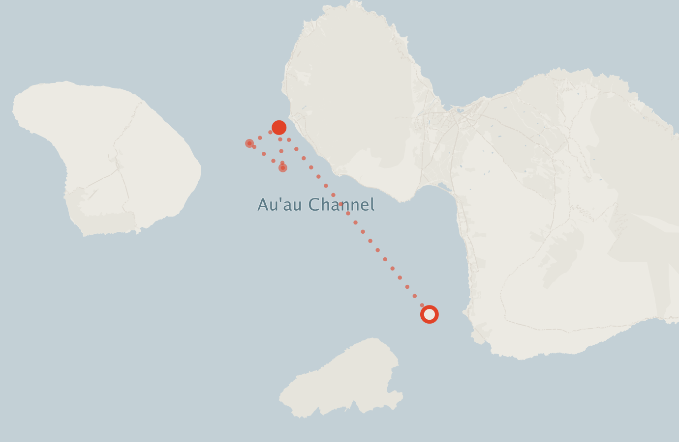 Activity map — real sighting points on an OpenStreetMap basemap